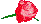 Rose-2009® CMS